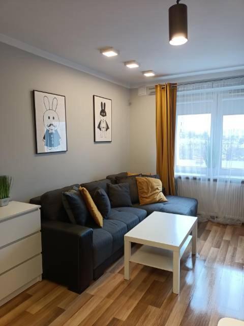 Family & Business Elegant Apartments Rynek Centrum Downtown - 2 Bedroom, Balcony, Parking Келце Екстериор снимка